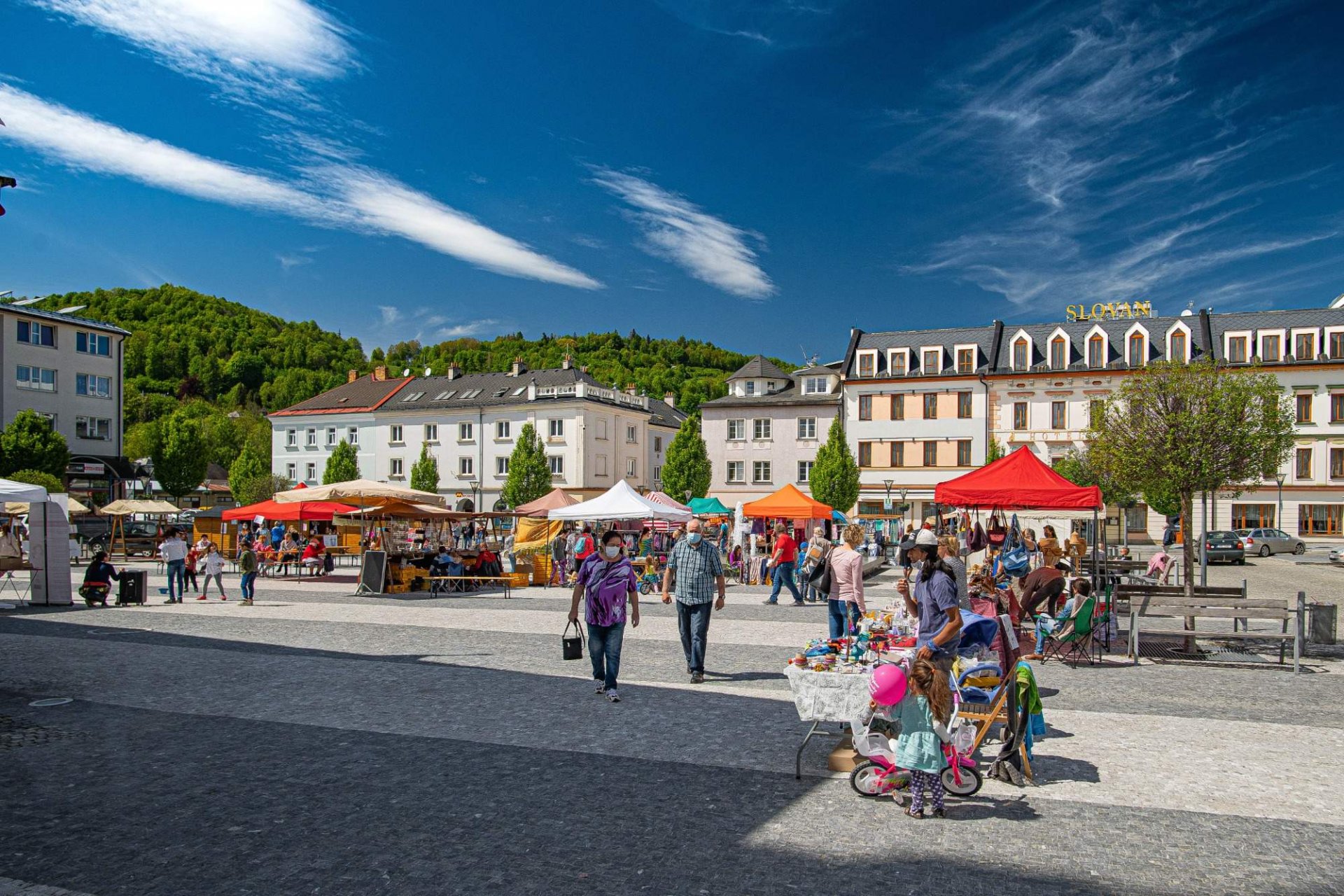 Jaký byl rok 2020 pro spolek Sudetikus?