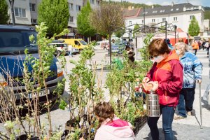 Květnové Jesenické trhy